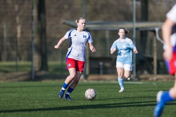 Bild 232 - F Hamburger SV 3 - Blau-Weiss 96 : Ergebnis: 5:1